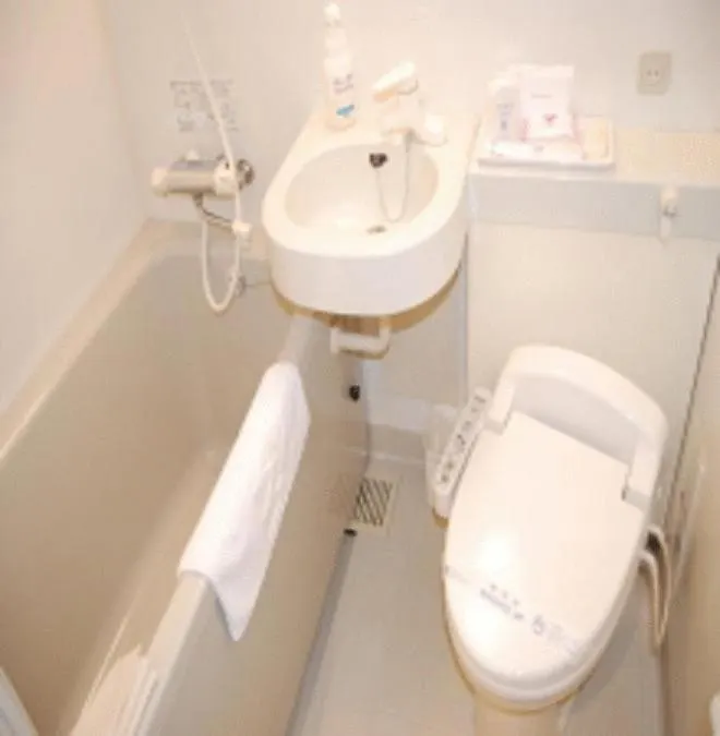 Hakodate Rich Hotel Goryokaku 3*,