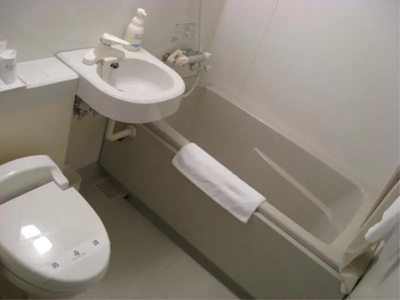 Hakodate Rich Hotel Goryokaku